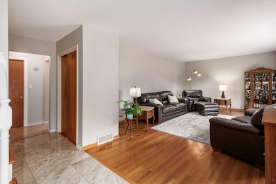 Entry View into Living Room