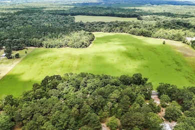 Lot 4 Mount Beulah Rd, Windsor, SC 29856 - photo 3