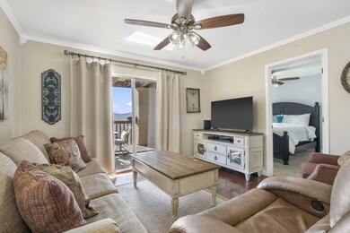 14-web-or-mls-DSC07539