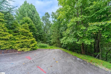 26 Crescent Pinyon Way, Marietta, SC 29661 - photo 2