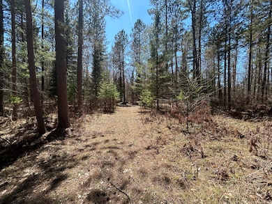 80AC off Razorback Rd, Conover, WI 54519 - photo 3