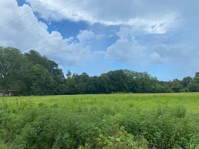 Lot 2A Antioch Rd, Conway, SC 29527 - photo 2