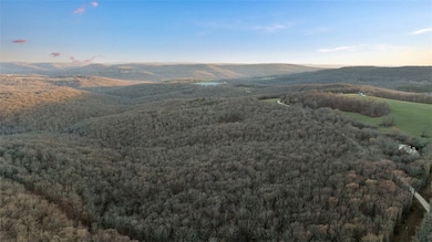 14642 Truelove Rd, West Fork, AR 72774 - photo 2