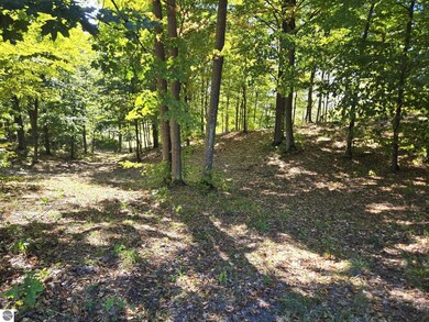 0013 Heather Ridge Trail, Beulah, MI 49617 - photo 4