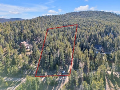 7624 Brook Forest Ln, Evergreen, CO 80439 - photo 7