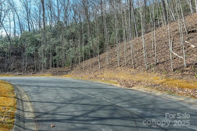 0 Shining Rock Path unit 12 CAR4243667, Horse Shoe, NC 28742 - photo 7