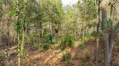 0000 Savannah Hills Ln, Longview, TX 75605 - photo 2