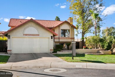 1255WSeaShellDr-002