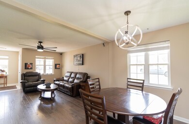 Large sunny windows