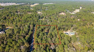 24795 Shady Oaks Blvd, Montgomery, TX 77316 - photo 7