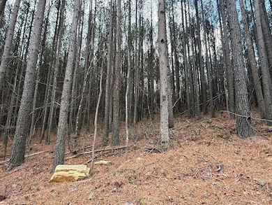 0 Birds Eye Way unit 1519145, Guild, TN 37340 - photo 7