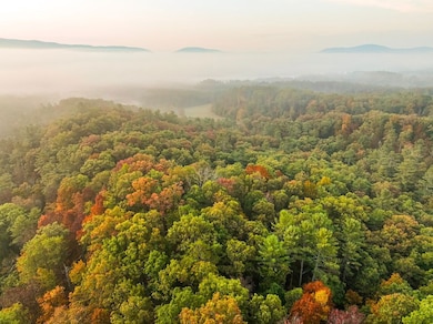 0 Big Draft Rd unit 25758620, White Sulphur Springs, WV 24986 - photo 4