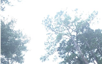 0 Family Road (Cr 240) unit 112224, Lake City, FL 32025 - photo 3