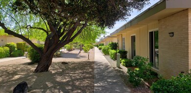 14005 N 111th Ave, Sun City, AZ 85351 - photo 3