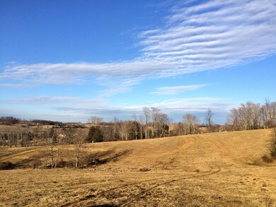 northern view lower meadow
