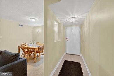 5858 Thunder Hill Rd unit A3, Columbia, MD 21045 - photo 4