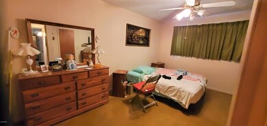824 S Doran Cir - Master Bdrm