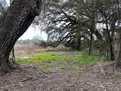 7336 Zimmer St, Zephyrhills, FL 33541 - photo 6