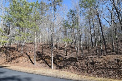 00 Harris Ridge Ln, Ellijay, GA 30540 - photo 4