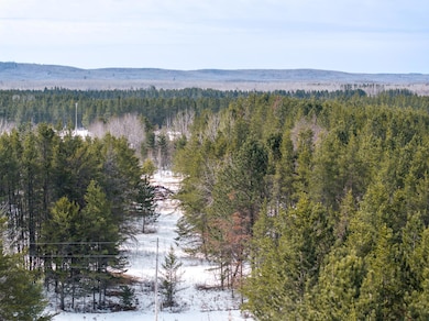 8308 Highway 21 N, Babbitt, MN 55706 - photo 3