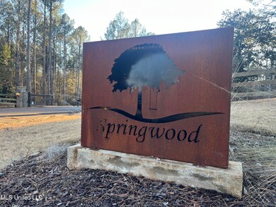 0 Springwood Trail unit 4102916, Flora, MS 39071 - photo 3