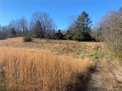 7883 Ellisville Dr, Louisa, VA 23093 - photo 2