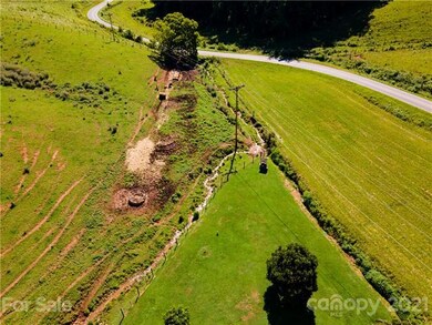 000 Don Felmet Rd, Leicester, NC 28748 - photo 6