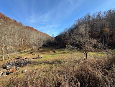 310 Tanner Fork, Shock, WV 26638 - photo 5