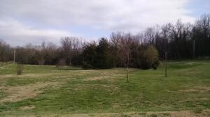 IMG_20170316_163132734
