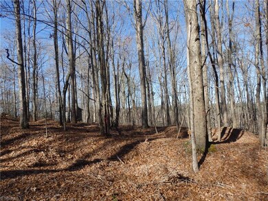 0 Liberty Circle Extension, Asheboro, NC 27205 - photo 3