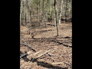 TR 2 E New Hope Rd, Ellijay, GA 30536 - photo 3