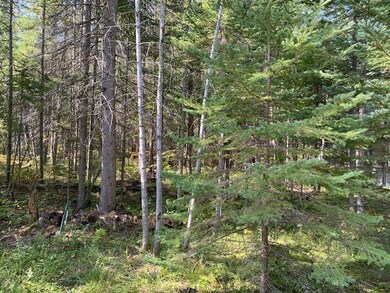 IMG_0577