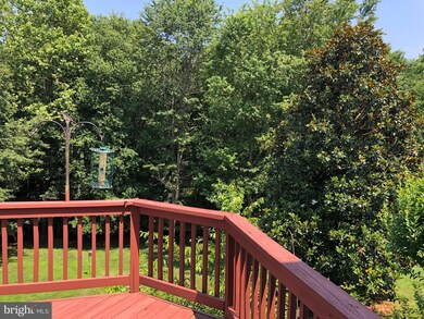 11111 Sceptre Ridge Terrace, Germantown, MD 20876 - photo 4