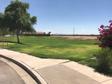 Large Grassy Play Area