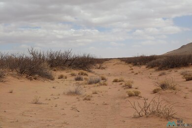 0 Ojo Rd SW unit 20251306, Deming, NM 88030 - photo 3