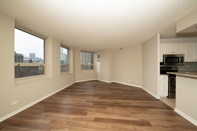 750 N Rush St unit 3203, Chicago, IL 60611 - photo 4