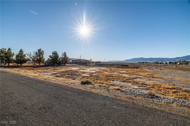 4051 Forest Rd, Pahrump, NV 89048 - photo 4
