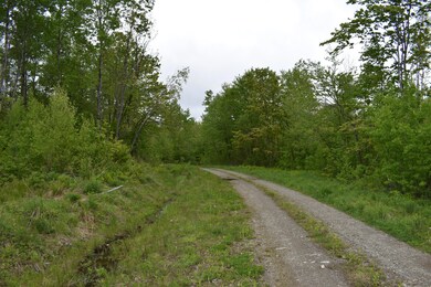 Lot 4-A Forest Ln, Carroll Plantation, ME 04487 - photo 2