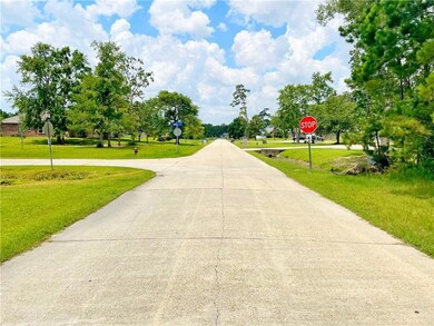 Looking west from the front of the lot.