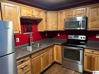 161 Tomahawk Cir, Falls of Rough, KY 40119 - photo 6