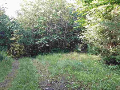 25 Ramsey Rd, Wheelock, VT 05851 - photo 3