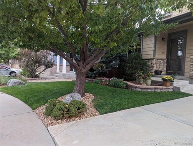 10519 Westcliff Way, Highlands Ranch, CO 80130 - photo 4