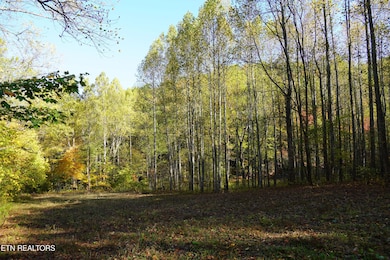 PAR 033.01 S Highway 32, Cosby, TN 37722 - photo 5