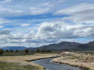 40 Purdy Way, Picabo, ID 83348 - photo 4