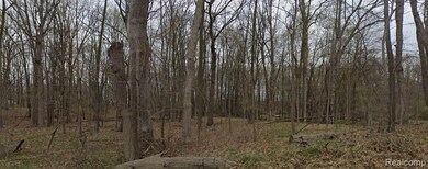 0 N Lima Center Rd unit 20251057499, Dexter, MI 48130 - photo 4