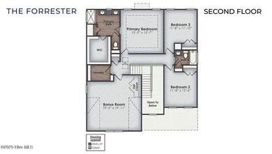 Forrester_second