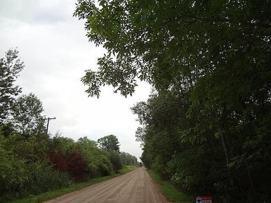 0 104th St unit 12042045, Grant, MI 49327 - photo 3