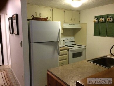 201 S Slope Rd unit 1, Banner Elk, NC 28604 - photo 7