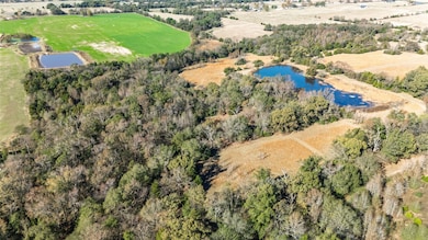 44.8 ac County Road 2324, Como, TX 75431 - photo 6