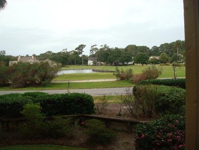 253 Moss Oak Ln, Saint Simons Island, GA 31522 - photo 5